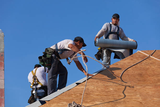 Best Local Roofing Companies  in Rainbow City, AL