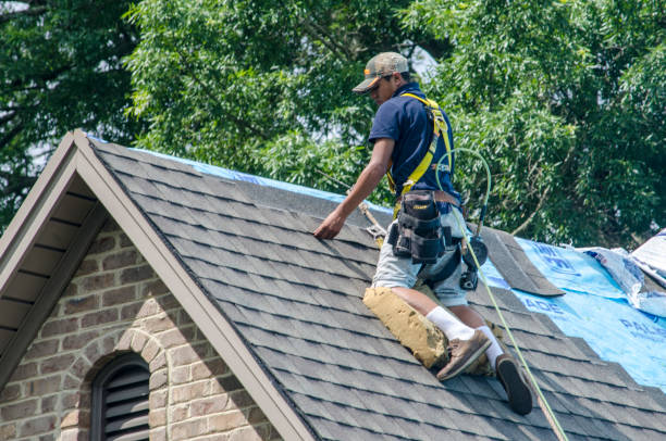 Quick and Trustworthy Emergency Roof Repair Services in Rainbow City, AL